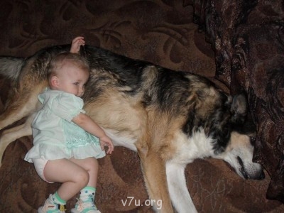 Собака - хороший подарок? - SDC11769.JPG