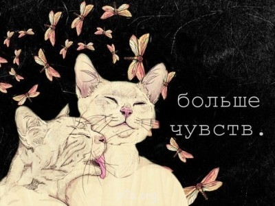 Ваше состояние души: мысли и чувства в картинке или мелодии - Z94ssssQvtM.jpg