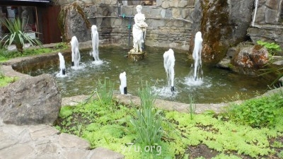 Льготы и выплаты приемным семьям - DSCN3963.JPG