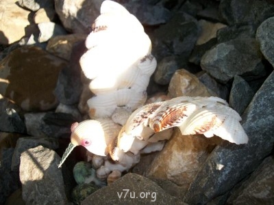 Лето в деревне - 100_0331.JPG