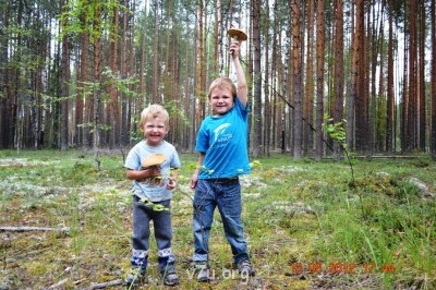 Красноголовики под Красновишерском