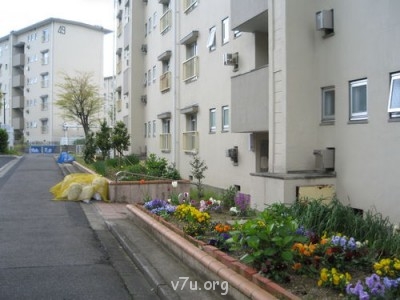 Семейные воспитатели в законе  - 003.jpg