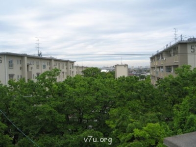 Семейные воспитатели в законе  - 042.jpg