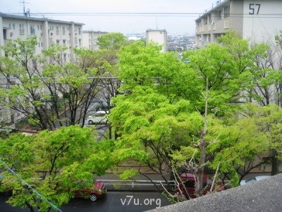 Семейные воспитатели в законе  - 143.JPG