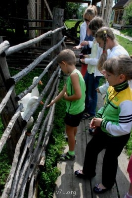 Совместный отдых - DSC_0254.JPG