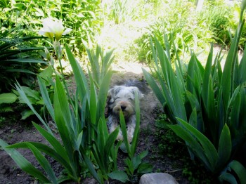 Истории Фимы - IMG_0071.JPG