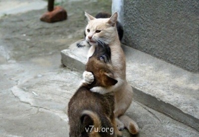 В мире мудрых мыслей - ценность.jpg