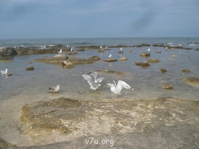 Удивительное рядом - P1210150.JPG