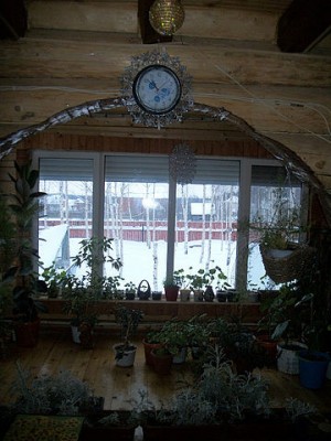 Что требует Роспотребнадзор от жилья ПС? - кухня 2.jpeg