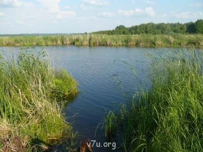 Где мы живем - пр3.JPG