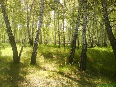 Где мы живем - DSC02131.JPG