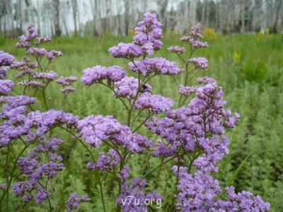 Где мы живем - м м.JPG