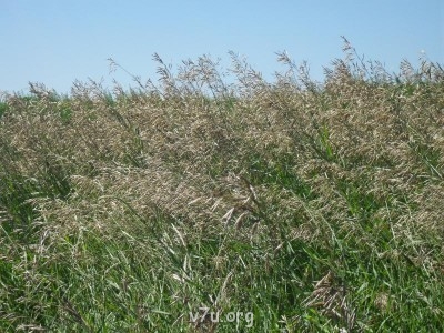 Где мы живем - к 023.jpg