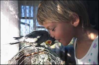 Особые детки. Умственная отсталость - 90046_01.jpg