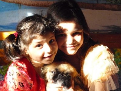 Наши любимые домашние питомцы - P1010687.JPG