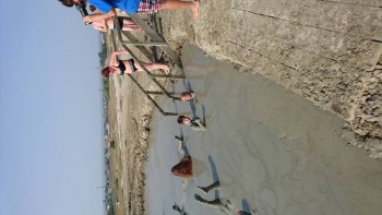 Наш Зайка - DSC_0751.JPG