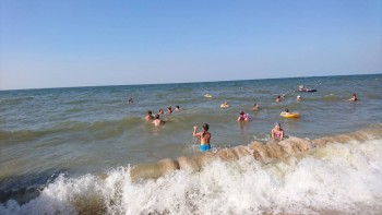 Наш Зайка - DSC_0566.JPG