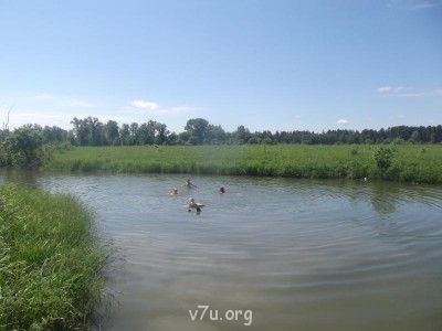 Обсудим переезд из города в деревню - DSCF5294.JPG