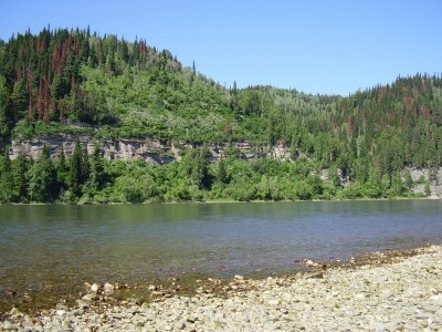 Где мы живем - P6110116.JPG