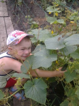 Солнечного настроения тем, кто ищет своих детей  - огурчики.jpg