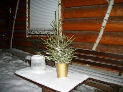 Украшения для участка - Новый 2012 год 237.jpg