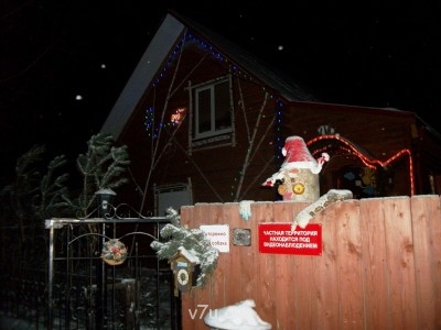 Украшения для участка - Новый 2012 год 236.jpg