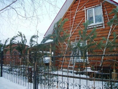 Украшения для участка - Новый 2012 год 032.jpg