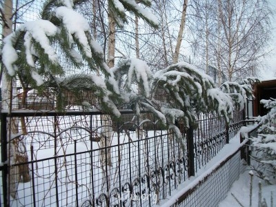 Украшения для участка - Новый 2012 год 239.jpg