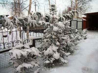 Украшения для участка - Новый 2012 год 238.jpg