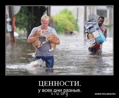 В мире мудрых мыслей - ценности.jpg