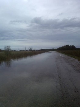 Угрюмые записки. - IMG_20160905_173016.jpg