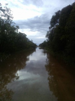 Угрюмые записки. - IMG_20160905_180221.jpg