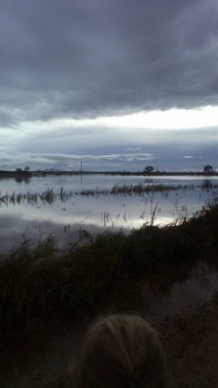 Угрюмые записки. - IMG_20160905_181008.jpg