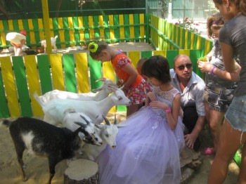 Солнечного настроения тем, кто ищет своих детей  - козам наша именнниница понравилась.jpg