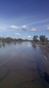 Угрюмые записки. - IMG_20160911_115321.jpg