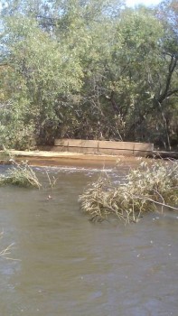 Угрюмые записки. - IMG_20160915_123019.jpg