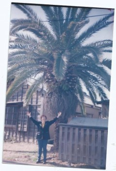 Япония.Жизнь и воспитание детей - DSC0146.jpg