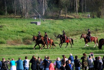 Куда сходить с ребенком - DSC_0218.JPG