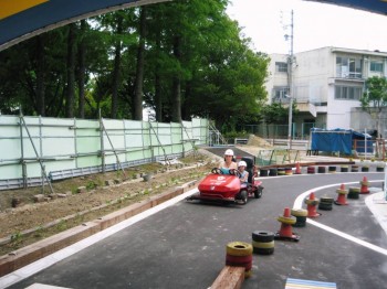 В  одном  из  парков  Японии  Зинаида  вместе с  Надеждой