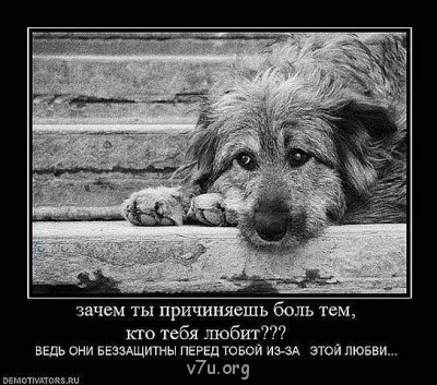 В мире мудрых мыслей - уке (1).jpg