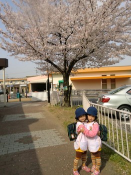 садовская  форма  нехило  стоит ....