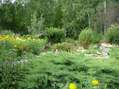 Где мы живем - P1000785.JPG