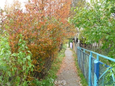 Где мы живем - P1000861.JPG