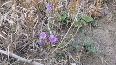 Где мы живем - DSCF3183.JPG