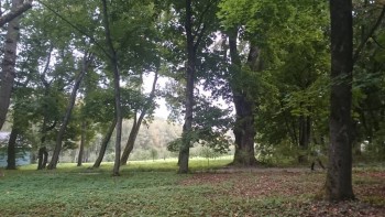 Куда сходить с ребенком - IMG_4401.JPG