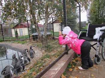 Солнечного настроения тем, кто ищет своих детей  - с животными.jpg