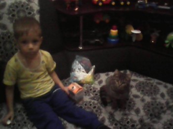 Солнечного настроения тем, кто ищет своих детей  - с котенком Тошей.jpg