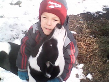 Солнечного настроения тем, кто ищет своих детей  - с собакой.jpg