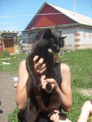 Наши любимые домашние питомцы - ����������� 335.jpg