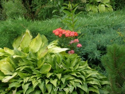 Что мы знаем про путевки Мать и дитя ? - P7068455.JPG